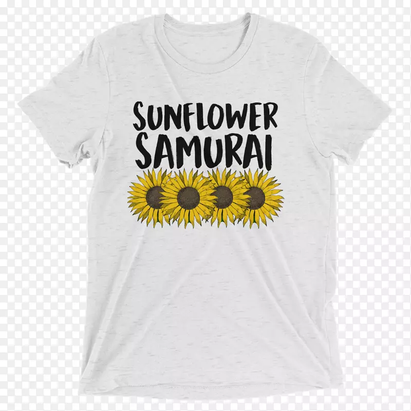 t����ñ������������տ���-������