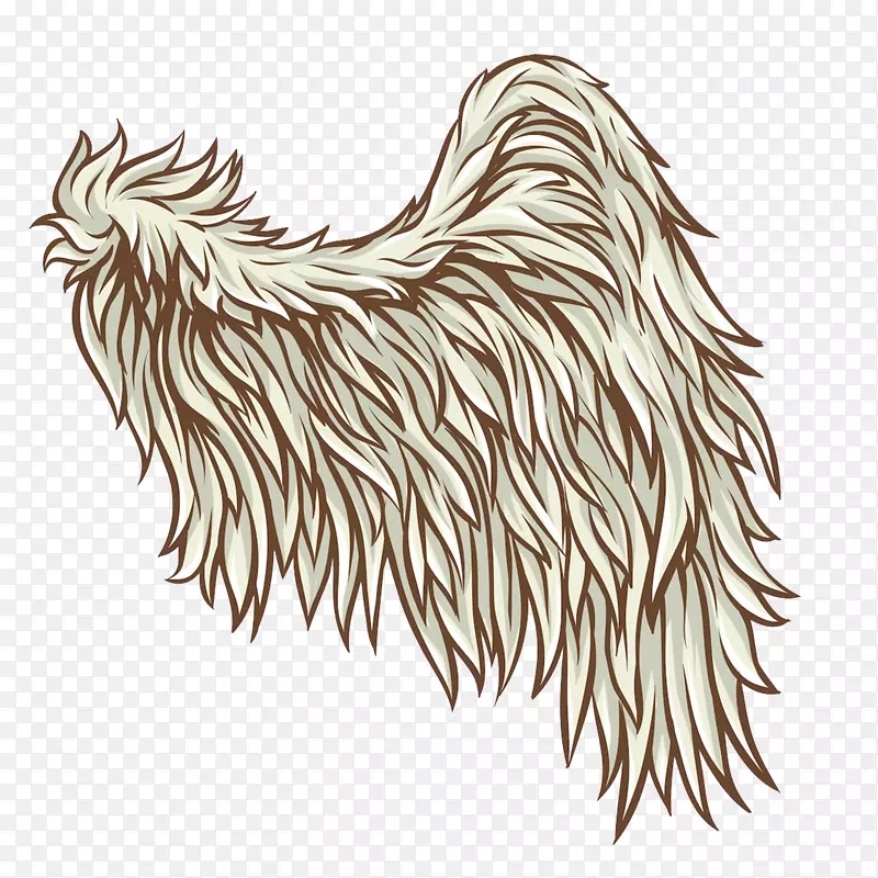 �����ë������.������ë���-������