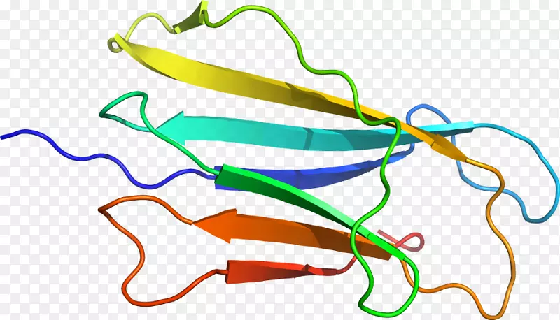 �ߵ������������-������