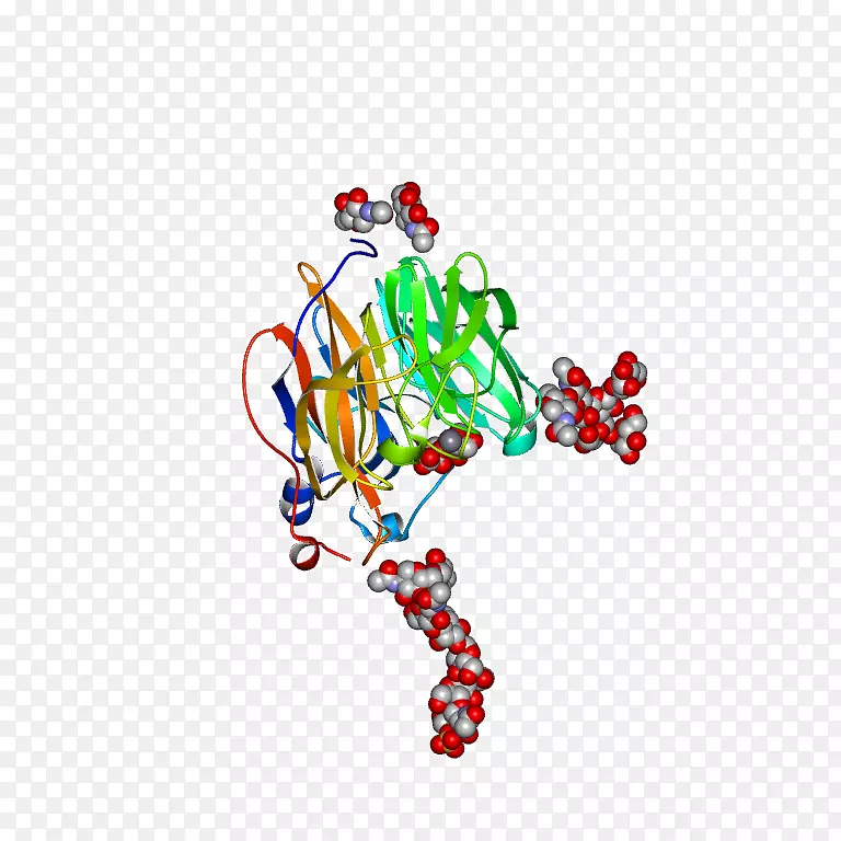 �������鱦���������鱦-������