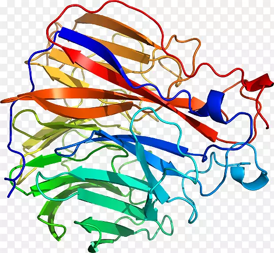 �����������������-������