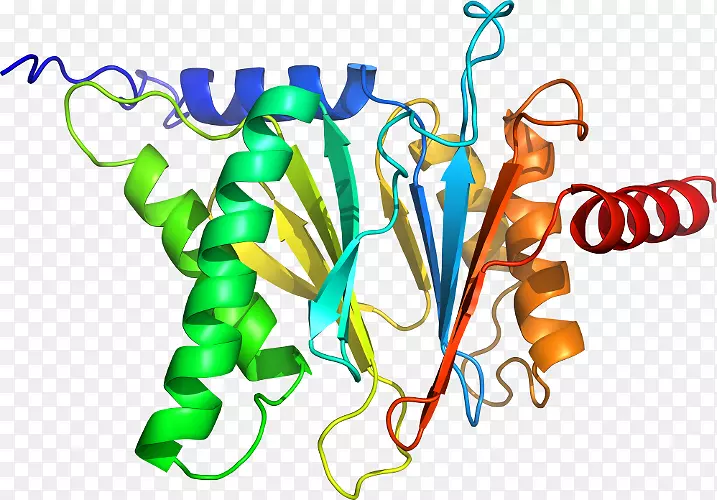 ƽ������ߵ��������-������