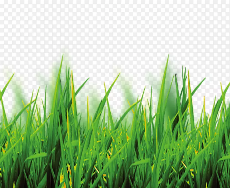 ����������ݲ���-������