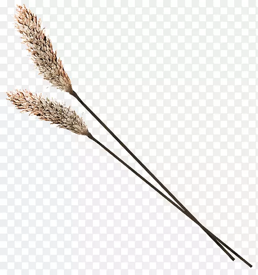 �����ؿ�ήС��-������