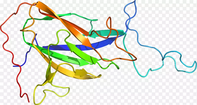 �����������������-������