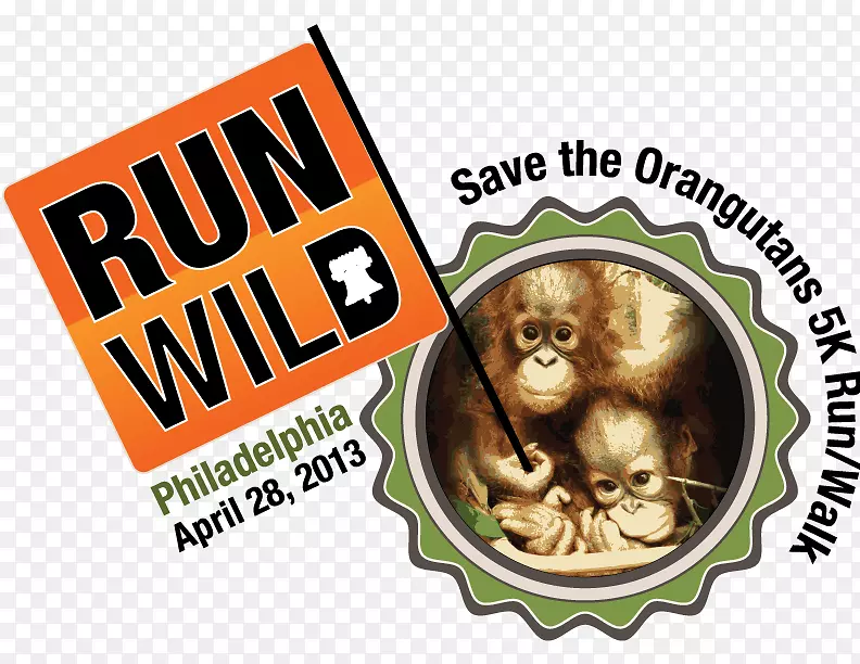 ����ʳ������-����-������