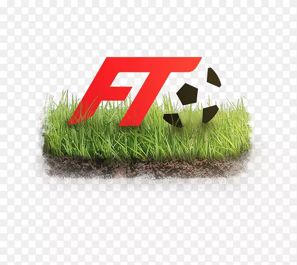 ���ִ���������������Ӫ�����߹��Ӫ��-������