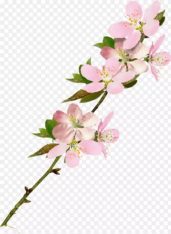 ����ͼ��������ɻ�-������