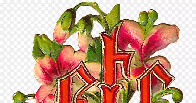 ��������л�ֲ�ﾥ���껨-������