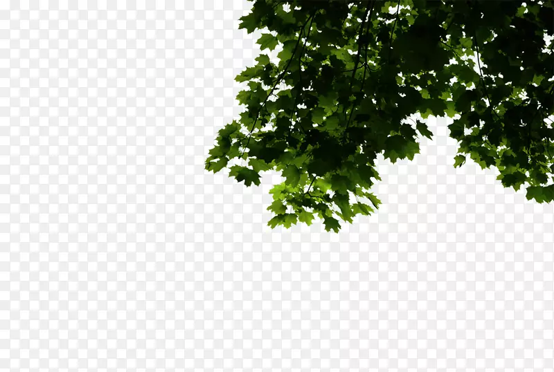 ��ҵ����������-ҵ��-������