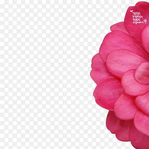 �绰������-��ɫ�����λ������-������