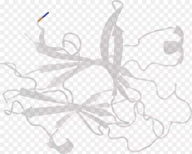 ��ɫ��ָ���������-������