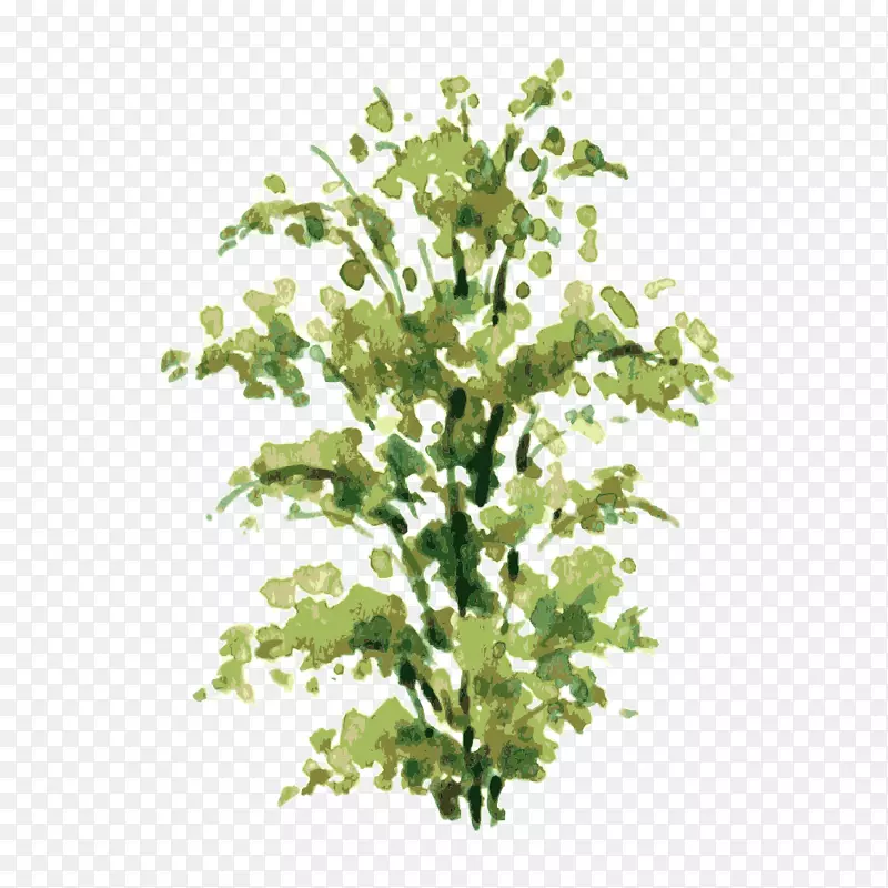 ˮ�ʻ���ľ����ͼ-������-������