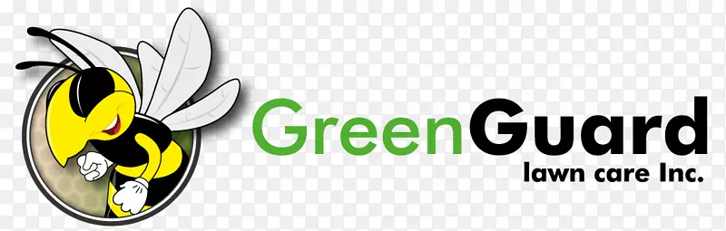 �̱�������̾���-������