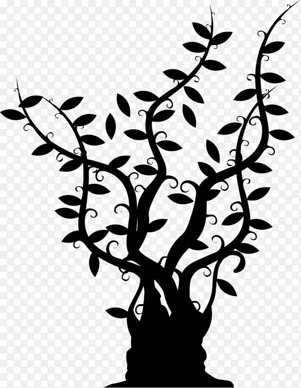 ��֦����Ҷ�����ͼ��-��-������