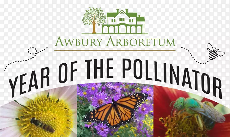 ë���׵ĺ�������ľ�����棬������������-����-������