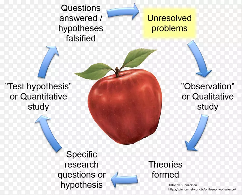 ƻ����������-��ѧ��ѧ-������