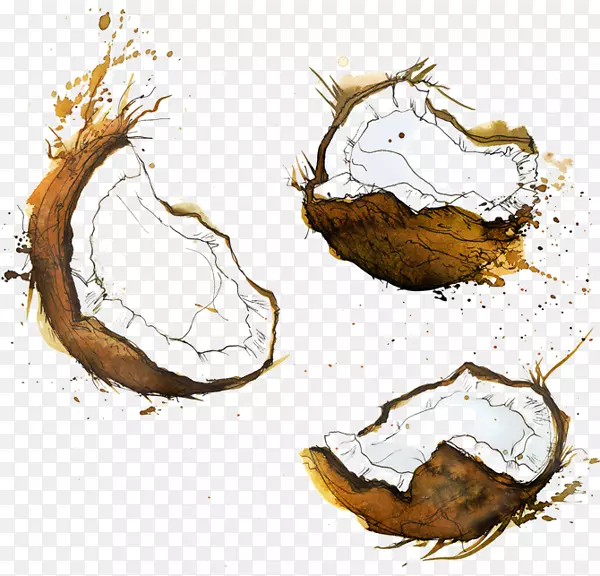 ˮ�ʻ�ʳƷ����-������