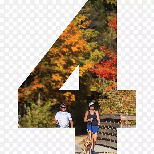 �϶�˹ά�����ζŲ���(���ɻ��ݻ�ӭ����)��ľ����-��-������