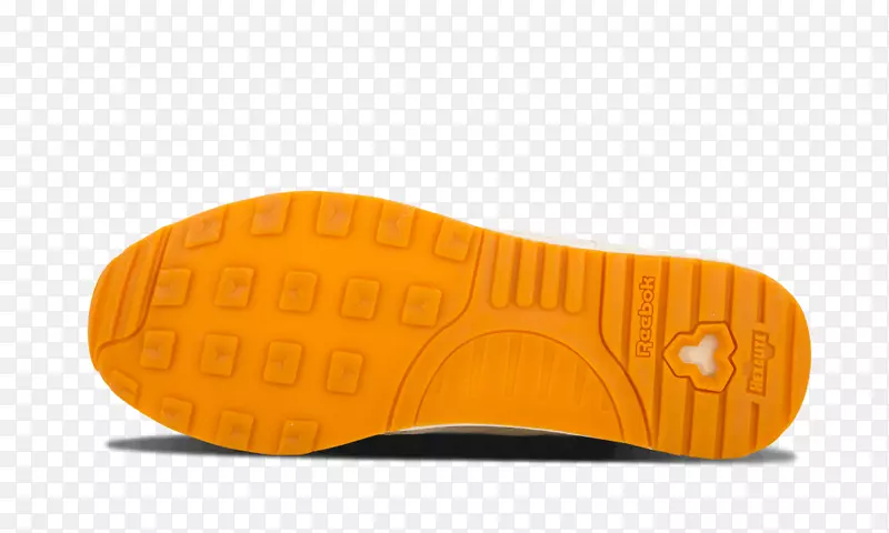 Ь����ѵ������-�ϵ����������-������