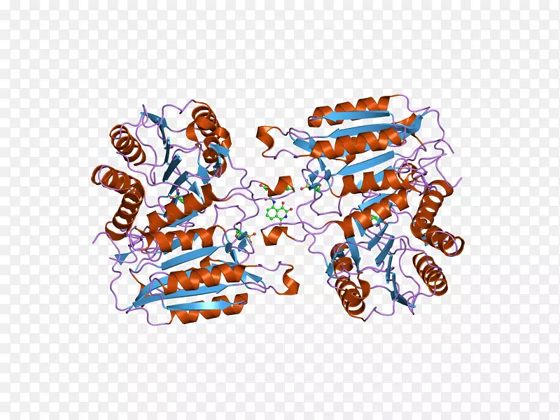 ʳƷ��������-������