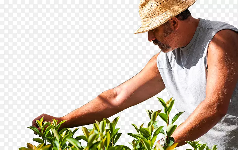 ��ָ-��-������