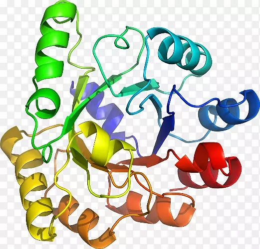 �����߶����������-������