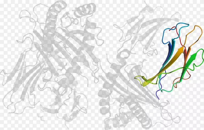 ���������-������