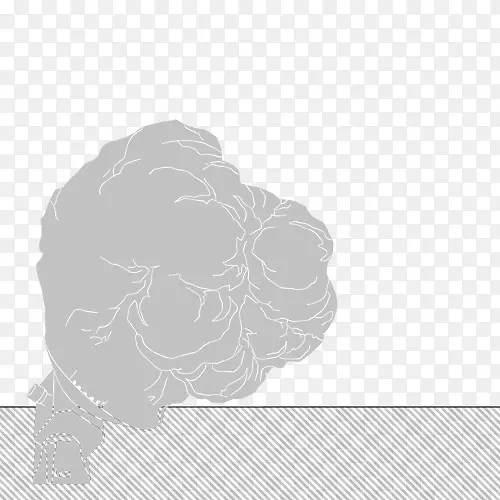 �׻���ЧӦ-������