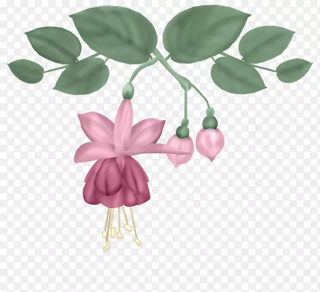 ����ƻ�Ҷ-������ɫ-������