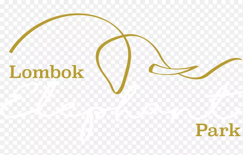 �̱��������-������