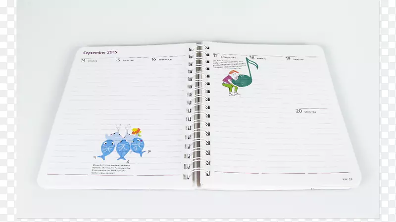 ֽ�����-������