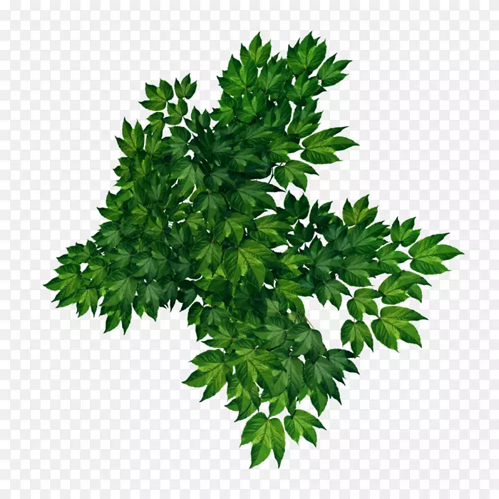 �ϵۣ����ã�����-���粩��-�ϵ�-������