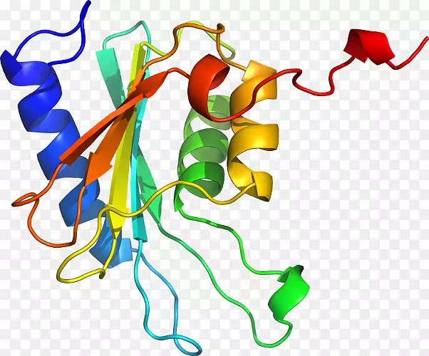 ƽ�����ֲ�ﾥ���������-������