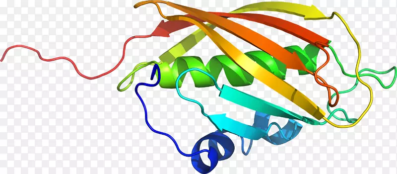 ����������Ҷ��������-������