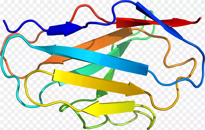 �ߵ������-��-������