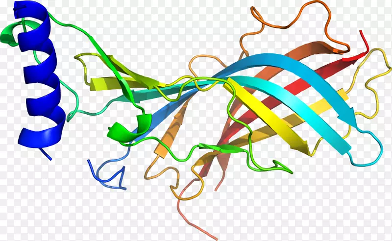 ����ƽ������ߵ��������-������