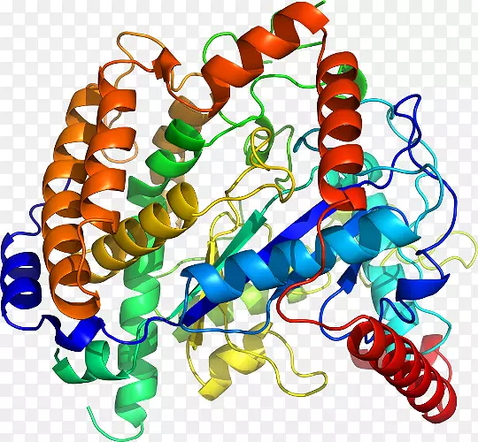 ���������鱦�л�����������鱦����-������