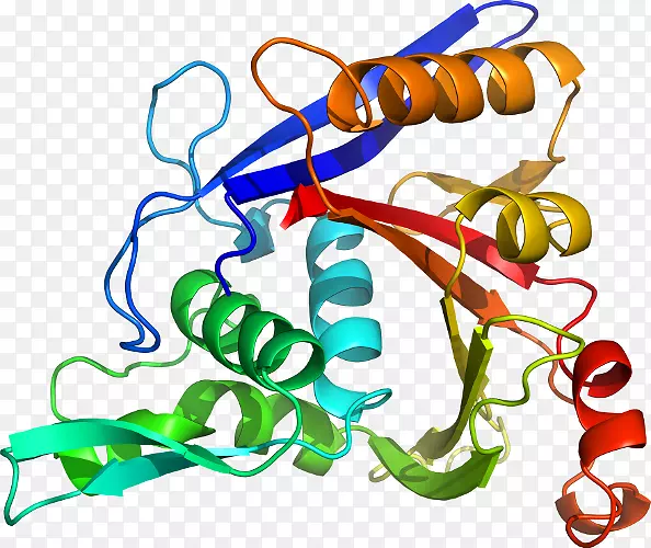 �����߶����������-������