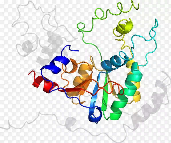 ƽ������ߵ��������-������