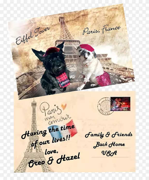 ���ƶ�������������ţ��������-���ƶ�����-������