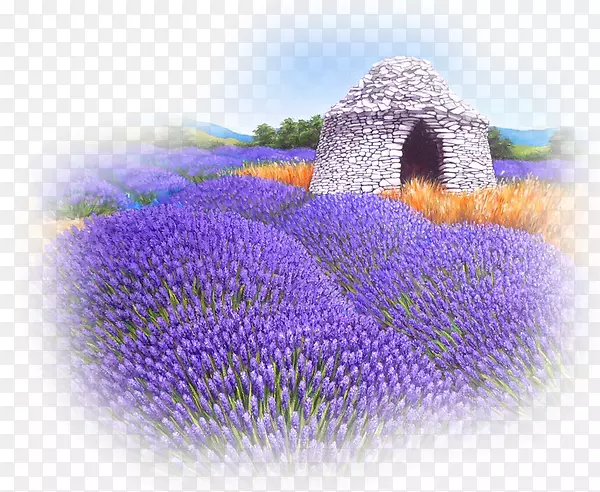 Ӣ��޹�²ݻ�������ֲ��-޹�²�-������