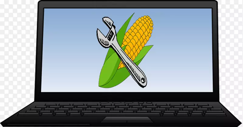 ��������ý�����-������