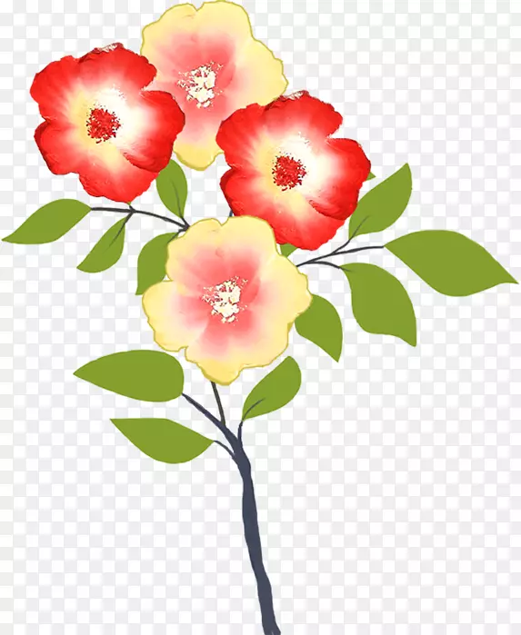 �л��������ֲ�ﾥ������-������