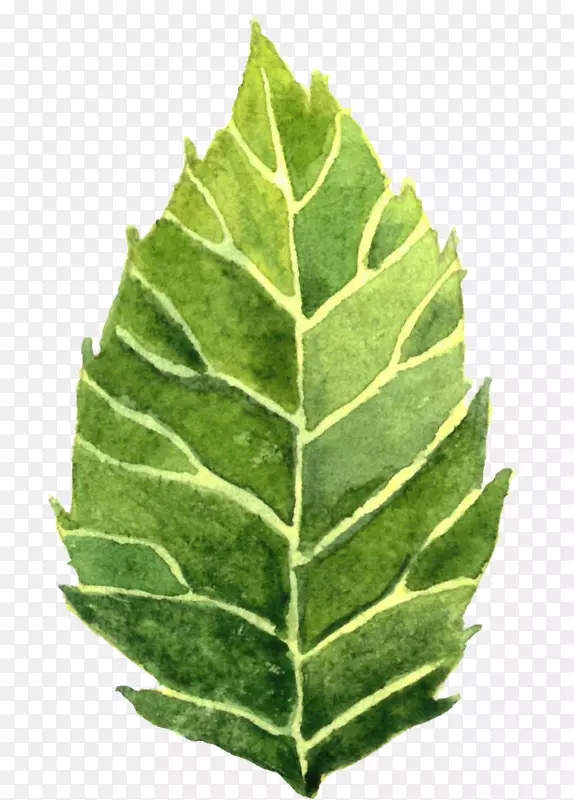 ˮ�ʻ�.ˮ�ʻ���-������