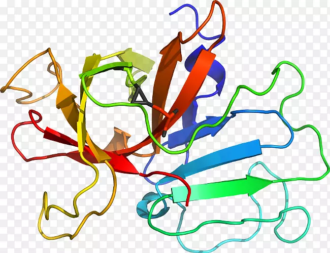 �ߵ������������-������