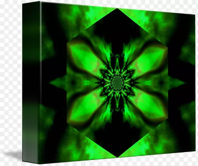 ��ɫ�Գ�Ҷ��-������