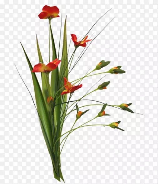 ���������ɫ�����ֽ-��-������