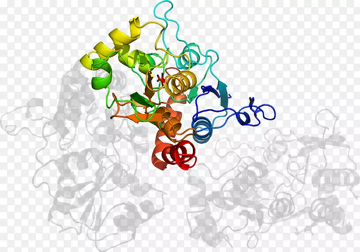 ƽ����ƿ�ͨƬ�������-������