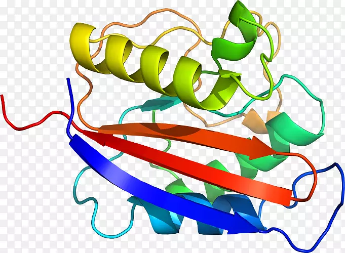 �߲˼�����-�߲�-������